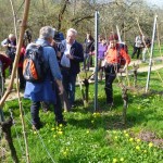 Wanderung Beuren 006