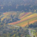 remstalwanderung-15-10-28-1280x960