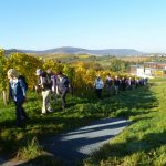 remstalwanderung-15-10-6-1280x960