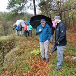 herbstabschlusswanderung2017-11-1280x960